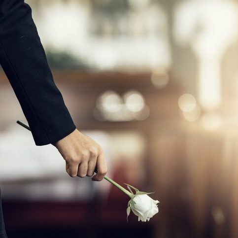 Flower, funeral and hand holding rose in mourning at death ceremony with grief for loss burial. Floral, church or cemetary with person holding plant for sad bereavement or cemetary event in a chapel